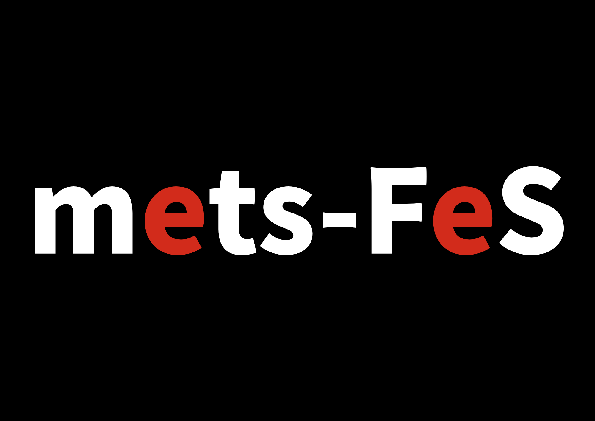 mets-fesに参加いただきありがとうございました！